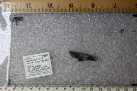 Whewellite with Smythite