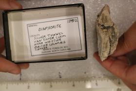 Diaphorite