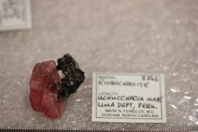 Molybdenite