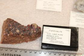 Pyrosmalite