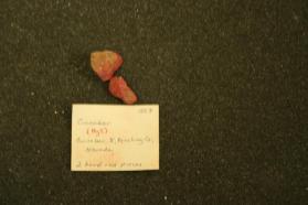Cinnabar