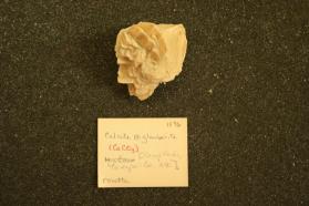Calcite & Glauberite
