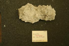 Celestite