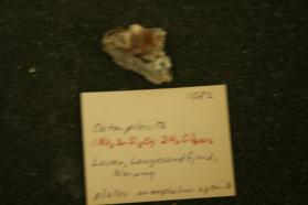 Catapleiite