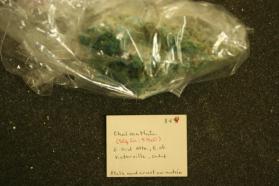 Chalcanthite