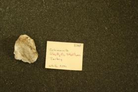 Colemanite