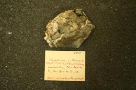 Clinochlore, v. Penninite