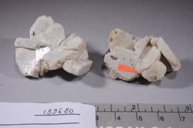 Leifite