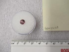 SPINEL
