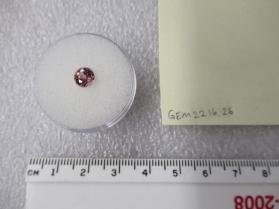 SPINEL