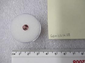 SPINEL