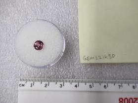 SPINEL