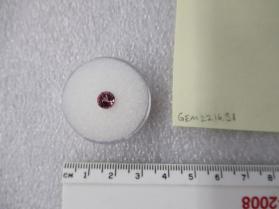 SPINEL