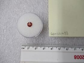 SPINEL