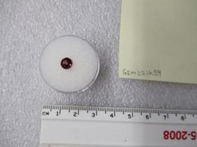 SPINEL