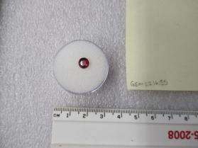 SPINEL