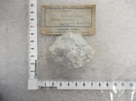 Zeophyllite