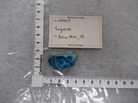 Turquoise