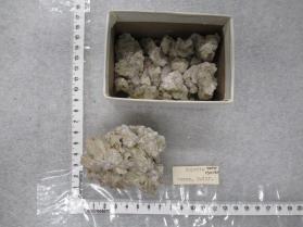 Inoyite