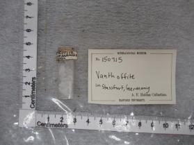 Vanthoffite