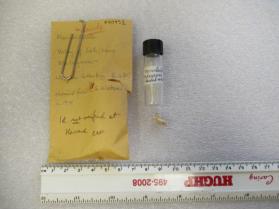 muscovite