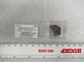 Permingeatite with Clausthalite