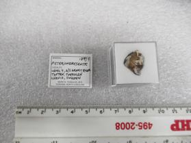 Peterandresenite