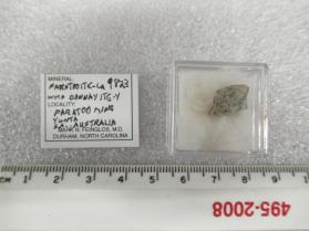 Paratooite-La