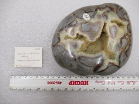 Calcite, var. Septarian Nodule