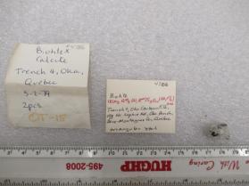 Biotite