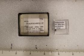 Ferrobarroisite