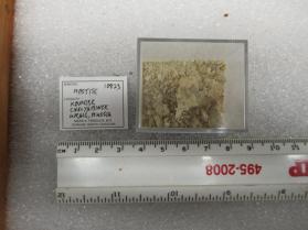 Rostite
