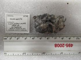 Seamanite