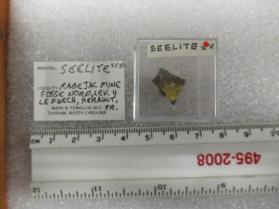 Seelite
