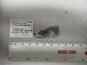 Scrutinyite with Plattnerite