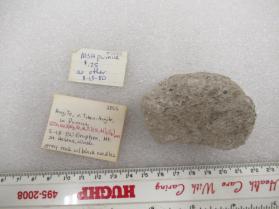 Augite, v. Titan-Augite, in Pumice