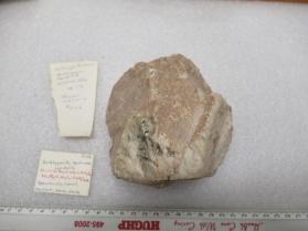 Amblygonite, Spodumene, Lepidolite