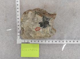 Graphic granite