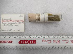 Glauconite