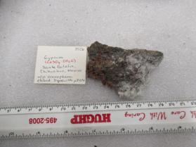Gypsum, uranophane