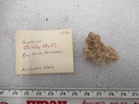 Gypsum (acicular)