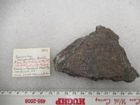 Spessartine, Biotite v. Manganiferous