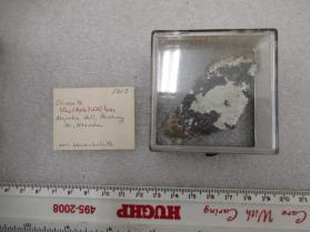 Olivenite, var Leucochalcite