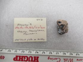 Opal in Gypsum