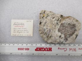 Orthoclase