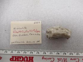Niocalite