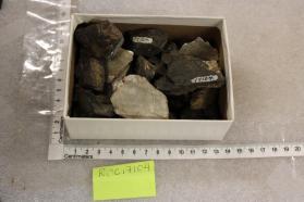Triphylite and muscovite
