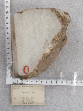 Microcline