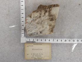 Graphic granite