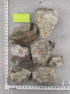 Graphic granite